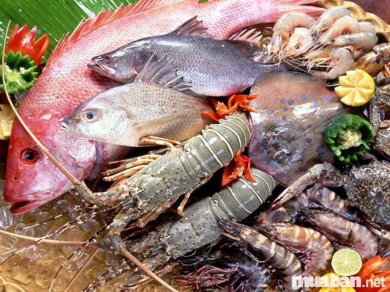 muốn kinh doanh hải sản tươi sống cần phải biết bảo quản hải sản