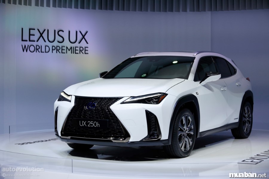 Lexus UX – trải nghiệm mới mẻ của thương hiệu xe Lexus  