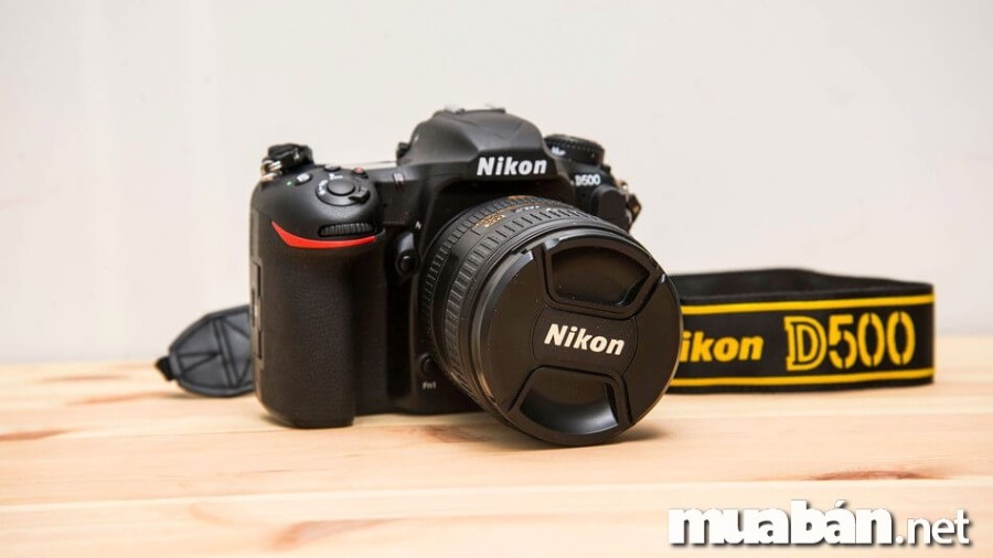 Top 4 máy ảnh Nikon dòng DSLR đáng chú ý 