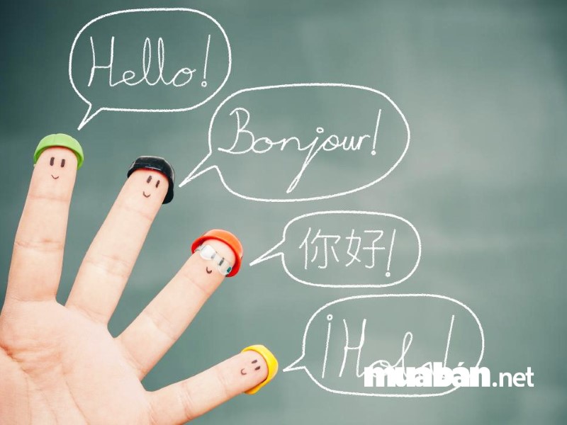 Nếu giỏi ngoại ngữ thì dịch thuật là nghề tay trái tuyệt vời dành cho bạn. 