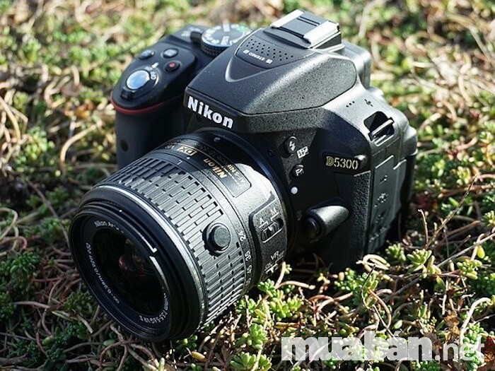 Nikon D5300 cũng là cái tên sáng giá trong làng máy ảnh cho người mới