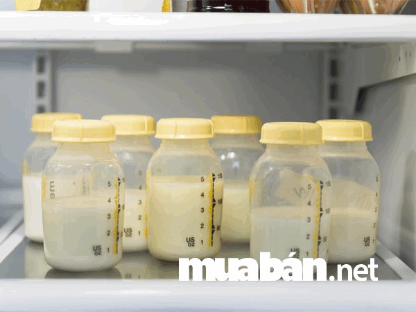 Lựa chọn nguyên liệu bình sữa không có chứa BPA để đảm bảo an toàn