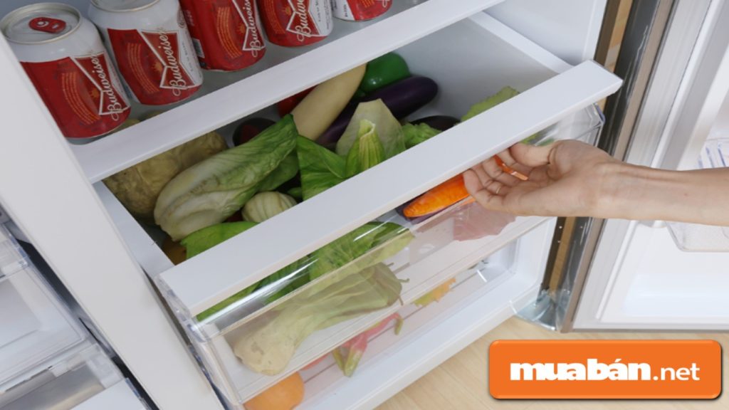Mỗi loại tủ lạnh 2 cánh đều có số lượng ngăn kéo, hộc tủ hoặc giá đỡ… khác nhau.
