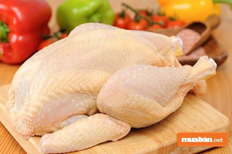 Cách luộc thịt gà ngon là chọn gà ta còn non, không chọn gà già hoặc quá gầy.