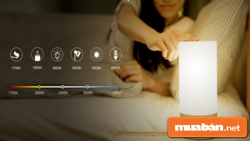 Nên sử dụng các loại đèn ngủ có công tắc điều chỉnh độ sáng để chủ động hơn.