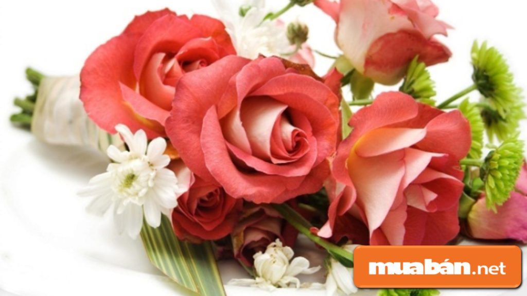 Hoa hồng có thể tặng từng cành, hoặc kết hợp với các loại hoa khác thành bó hoa đẹp lãng mạn.