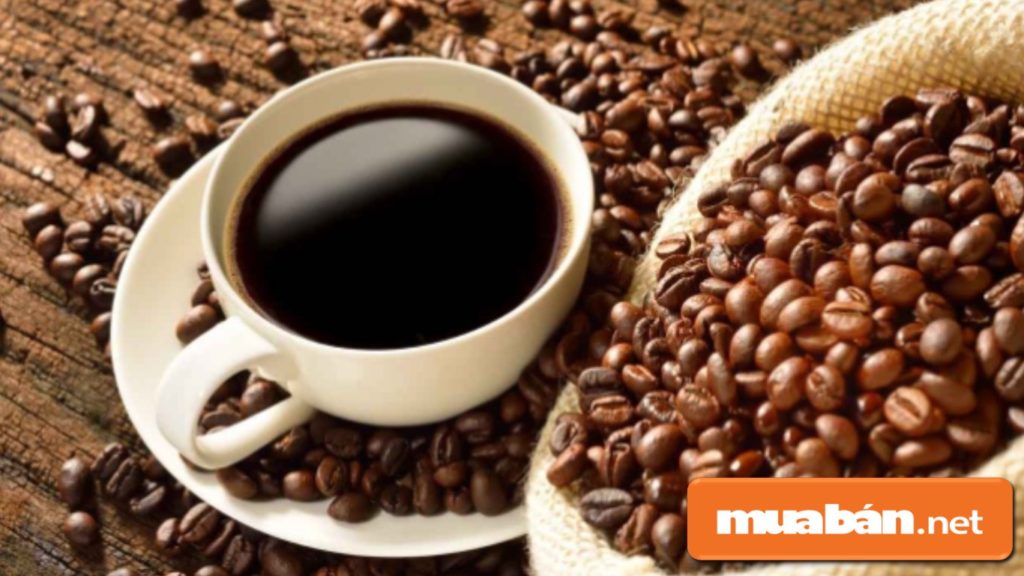 Bạn phải hiểu được tất cả những thông tin về café như các loại café, đặc tính của cây, các cách pha café...