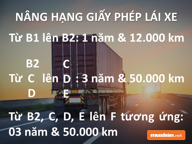 Nâng hạng GPLX để tìm việc lái xe quận Tân Phú đơn giản hơn