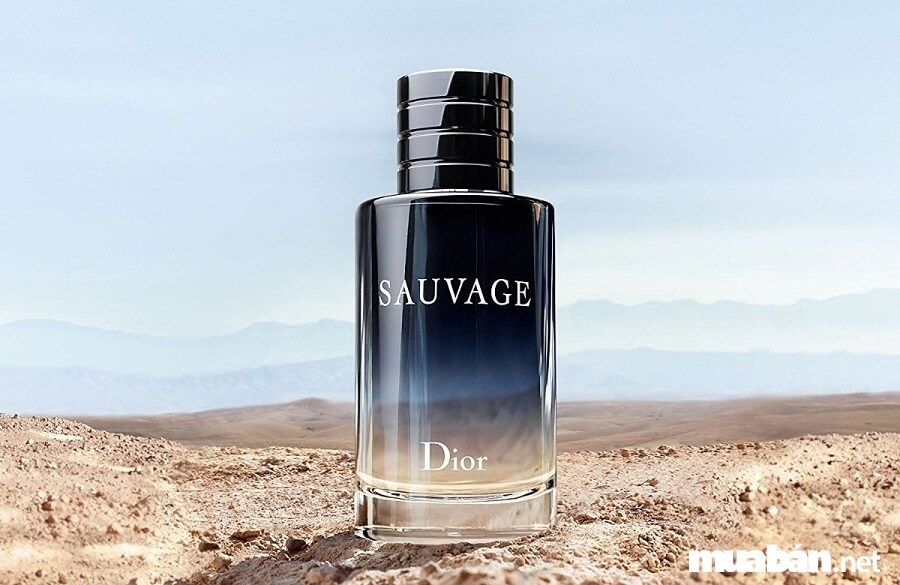Dior Sauvage gồm nhiều tầng hương khác nhau