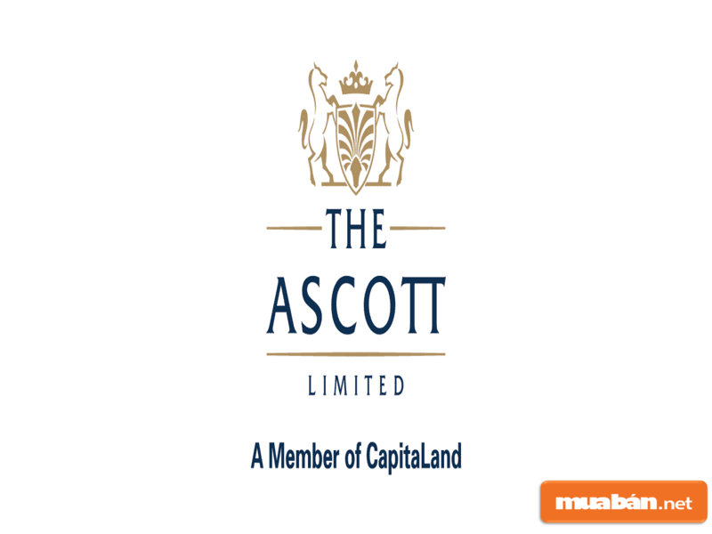 Ascott sẽ giúp quản lý dự án theo cách tuyệt vời nhất