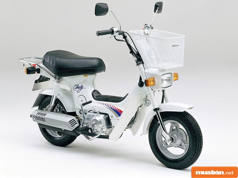 Honda Chaly CF50 Chuyện Về Chiếc Minibike được Lòng Nhiều Người 
