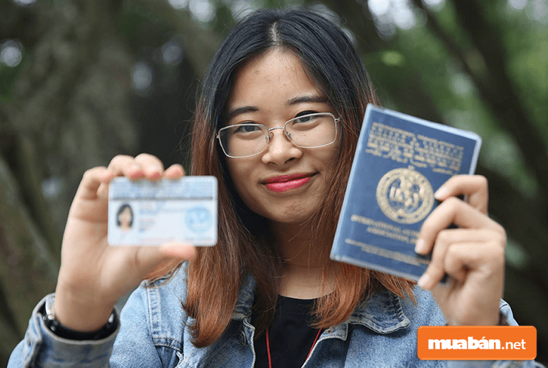 Công dân Việt Nam được cấp giấy phép lái xe quốc tế sẽ được lái xe ở các nước tham gia công ước Vienna.