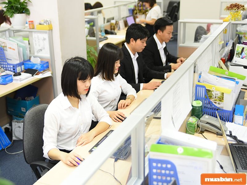 Những việc làm tiếng Nhật TPHCM đang ngày càng trở nên phổ biến